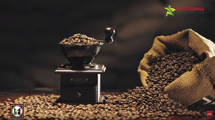 Tổng thể kết cấu phim giới thiệu Cafe Minh Tiến